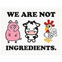 We Are Not Ingredients Framed Print Poster Show Belief Pride Sustainable Vegan Product Support Wall Desk Mount Renewable Linen Gift